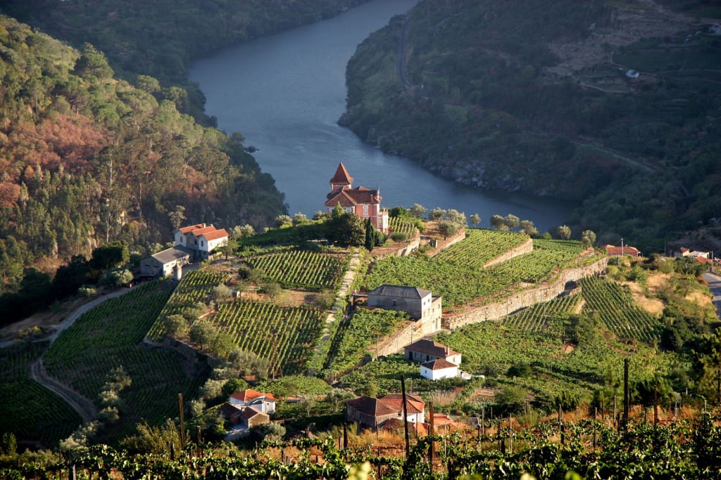 Exploring the Enchantment of Douro Valley, Portugal